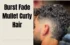 Burst Fade Mullet Curly Hair: Embracing Modern Hairstyles
